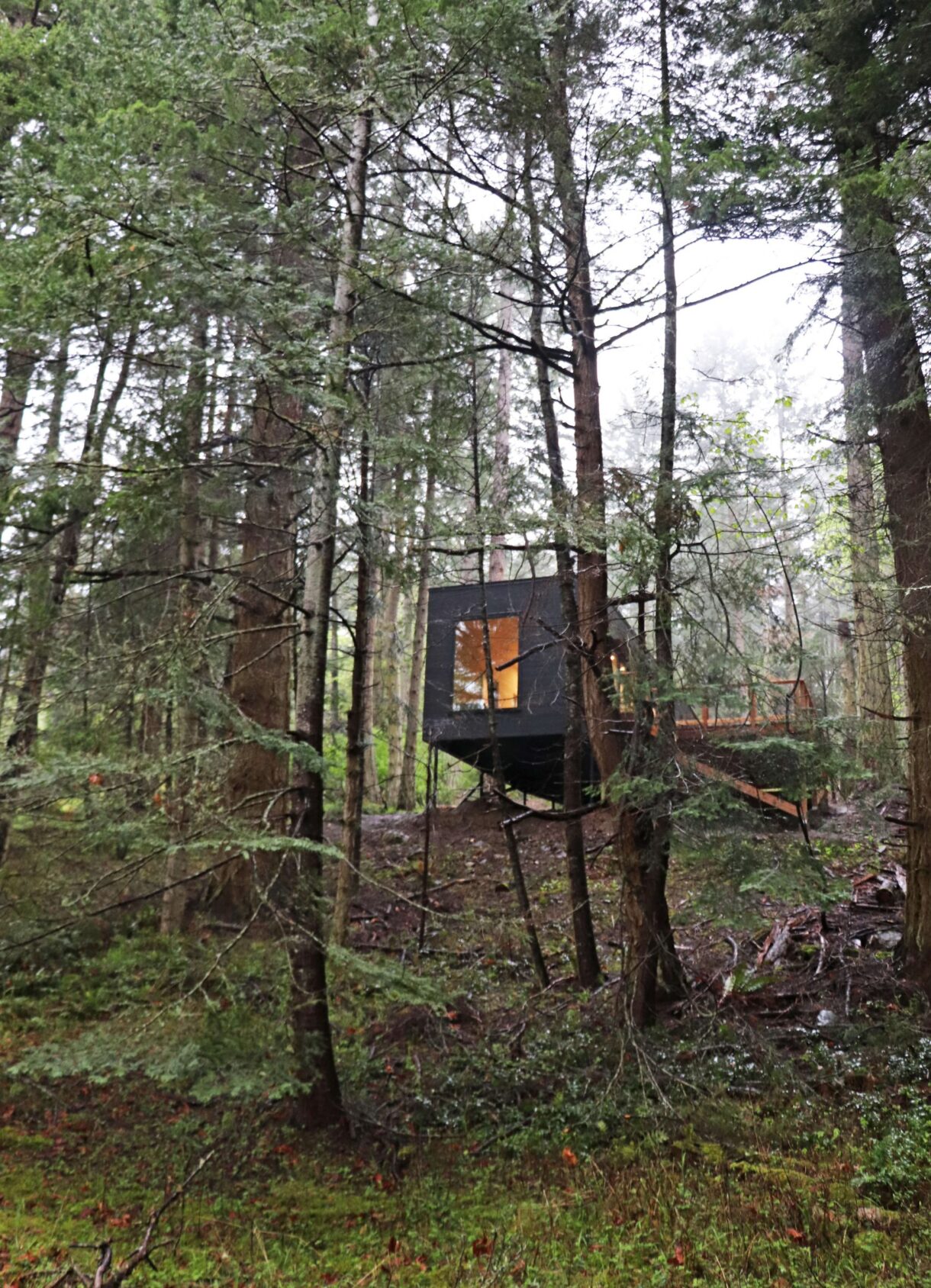 Custom home in the forest on Salt Spring Island.